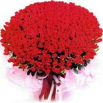 Ankara �i�ek firmam�zdan �zel ve sevgi i�inde 365 g�n Ankara �i�ek g�nder firmas� �ahane �r�n�m�z
